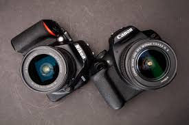 The most popular brands of camera for night sky photography